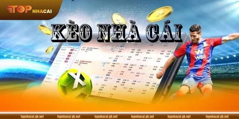 Tỷ Lệ Kèo GEM88: Giải Mã Các Tỷ Lệ Phổ Biến Cho Tân Thủ 1 Khái quát về tỷ lệ kèo GEM88 để bạn có cái nhìn rõ nét.