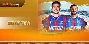 Review NET88: Ưu - Nhược Điểm Dưới Góc Nhìn Hội Viên