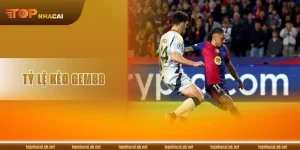 Tỷ Lệ Kèo GEM88: Giải Mã Các Tỷ Lệ Phổ Biến Cho Tân Thủ
