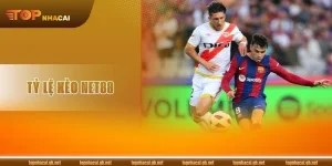 Tỷ Lệ Kèo NET88: Bật Mí Cách Soi Kèo Chuẩn Từ Chuyên Gia